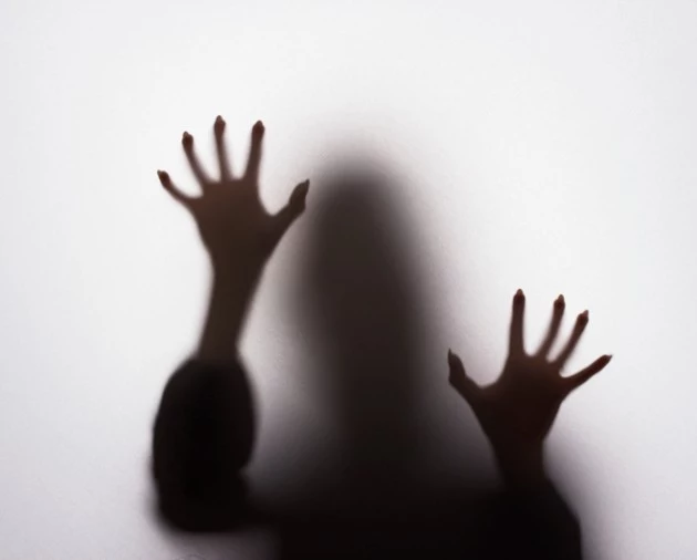 misty figure 475201001