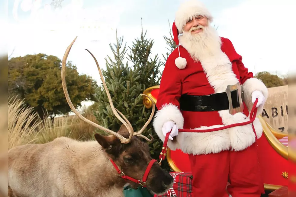 The Abilene Zoo Brings Back the Magic of Christmas Celebration