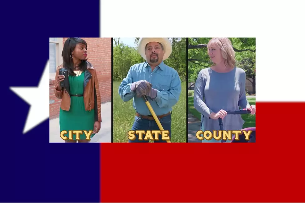 The Texas Legal Guide: To City, County, and State Law Differences