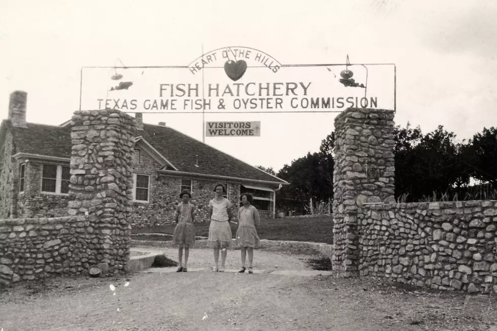 How Heart Of The Hills Center Supports Texas Fish Conservation