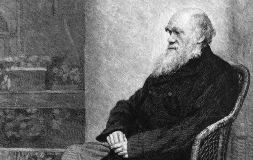 Rep. Paul Broun’s Biggest Challenger In The Election? Charles Darwin